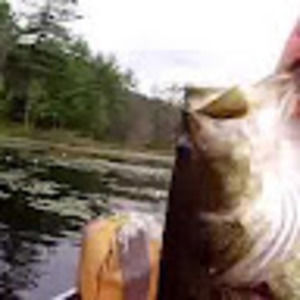 Meet your Posher, Kevin